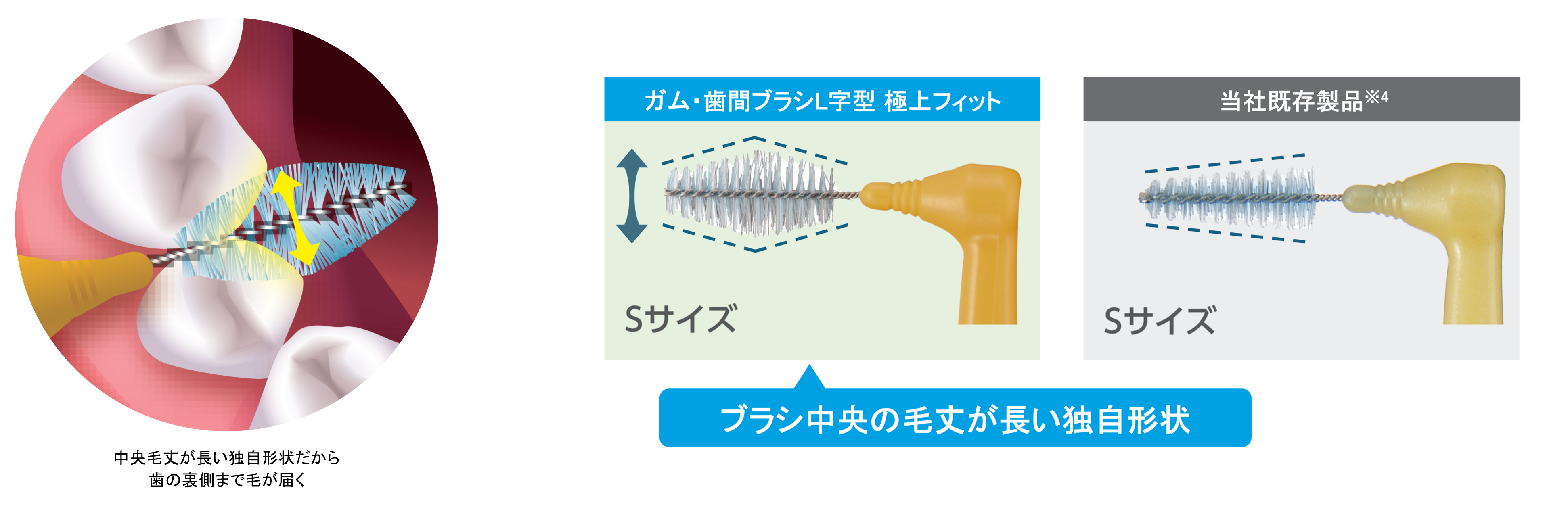 日経MJヒット商品番付選出・LDKベストバイ受賞の「ガム・プレミアム